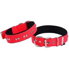 Resim Actirex Neon Kemik Desenli Köpek Boyun Tasması Pembe M 2.5 x 37 - 45 CM Pembe 