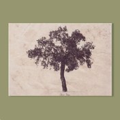 Resim Q-Art Ağaç Kanvas Tablo - 50x70 cm 