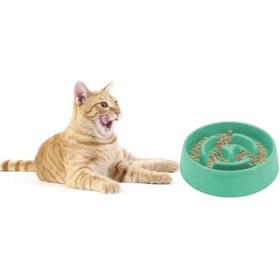 Resim JollyJaw Köpek Yavaş Yeme Mama Kabı 