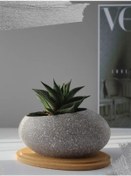 Resim D I E M Sukulentler Ve Kaktüsler İçin Saksı 180684121 