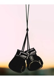 Resim HD Araba Süsü Boks Eldiveni Dikiz Aynası Süsü Hediyelik 