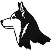 Resim Wolf Oto Motor Laptop Duvar Folyo Sticker 50 X 45 Cm 