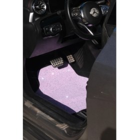 Resim AEA Paspas Takımı Pullu Lilapullu Deri 