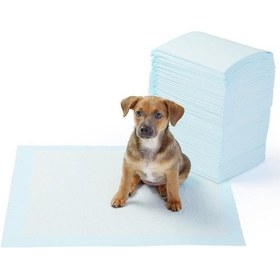 Resim Köpek Çiş Eğitim Pedi 120'li 60 x 90 CM 