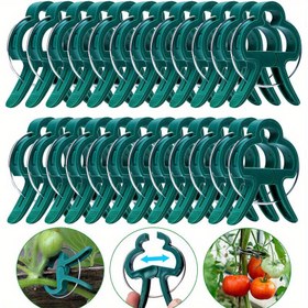Resim 50 Adet Premium Yeşil Bahçe Klipsleri - Sağlam & Paslanmaz, Domates, Çiçekler, Asma Bitkiler & Daha Fazlası İçin Su Geçirmez Bitki Destek - Tırmanma Bitkileri & Sebze Bahçeciliği İçin İdeal 