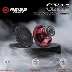 Resim Reiss Audio Gx-15 D2&d4 38 cm 3000WATT 1500RMS Bass Subwoofer Deprem Seri 