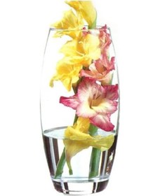 Resim Paşabahçe 43966 Botanica Cam Vazo 26x8 Cm 