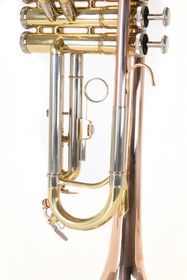 Resim Roy Benson TR-202G Bb Trompet (Gold Brass) | Altın Pirinç Kalak Sıcak Ton 