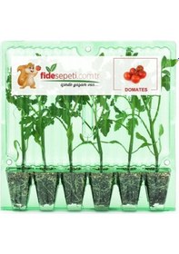 Resim Fide Sepeti Pembe Domates Fidesi (6Lı Ambalaj) 320497200 