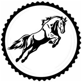 Resim Şahlanan At Tasarım Sticker 40 X 40 Cm 