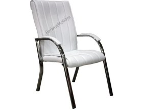 Resim Koltuk Stilim Diana Krom Makam Koltuk Takımı 