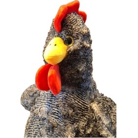 Resim Sesli Çilli Horoz Peluş Oyuncak 35 Cm Uyku Ve Oyun Arkadaşı Tavuk Civciv Ördek Kuş Beyaz 