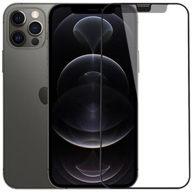 Resim iPhone 12 Pro Max Uyumlu Mat Ekran Koruyucu 9H Temperli Parmak İzi Tutmayan iVista Matte 