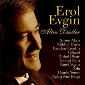 Resim Gereksi̇z Şeyler Erol Evgin Altın Düetler Plak 