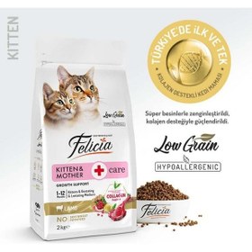 Resim Düşük Tahıllı Kuzulu Yavru Kedi Maması 2 Kg 