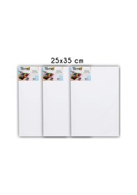 Resim Temel 25x35 Cm 3 Lü Tuval 