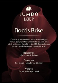 Resim Jumbo Loop Noctis Brise Çubuklu Oda Kokusu Mat Burgendy Şişe Bergamot 160 ML 
