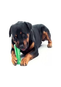 Resim Köpek Diş Kaşıyıcı Isırma Aparatı Et Aromalı Büyük Boy 