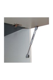 Resim Genel Markalar Notus Gazlı Piston Amortisör, 60n 