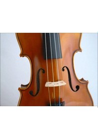 Resim Picaldi 1/2 Yarım Boy Parlak Cila Masif Ağaç Keman Seti 