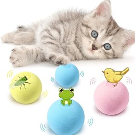 Resim Kedi Topu Oyuncakları, Kediler Için Etkileşimli Top Oyuncakları, Isırma Dirençli Evcil Hayvan Oyuncakları 