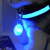Resim LED Gece Işıklı Köpek Tasması Kolyesi – Parlak Mavi Gece Lambası, Dayanıklı PVC Malzeme, Pil ile Çalışır, Kolay Takılabilir Yuvarlak Şekil ve Metal Halka, Evcil Hayvan Güvenliği Aksesuarı | Dekoratif Köpek Tasması | Sağlam Uyumlu Tasma 