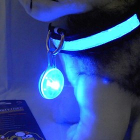 Resim LED Gece Işıklı Köpek Tasması Kolyesi – Parlak Mavi Gece Lambası, Dayanıklı PVC Malzeme, Pil ile Çalışır, Kolay Takılabilir Yuvarlak Şekil ve Metal Halka, Evcil Hayvan Güvenliği Aksesuarı | Dekoratif Köpek Tasması | Sağlam Uyumlu Tasma 