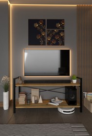 Resim DIGERUI 2 Metal Raflı Televizyon Sehpası Tv ünitesi Tv sehpası Ceviz 