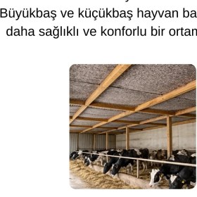 Resim Tavan Yalıtım Keçesi 200*2500 50 Metre Kare 