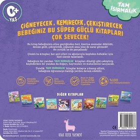 Resim Tam Isırmalık Yırtılmayan Kitap Mutfaktaki Renkler 