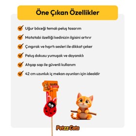 Resim PetzzCats LadyBird Matatabi ve Çıngırak Sesli Kedi Oltası Oyuncağı Kırmızı/Pembe 42 Cm 
