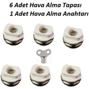 Resim Panel Radyatör / Petek Hava Alma Prujör Tahliye Tapası ve Anahtar 