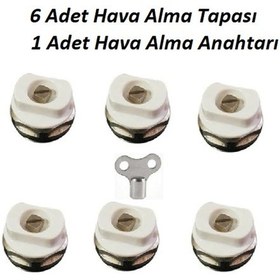 Resim Panel Radyatör / Petek Hava Alma Prujör Tahliye Tapası ve Anahtar 