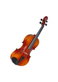 Resim Stagg Vn-3/4 L Keman Öğrenci Parlak 