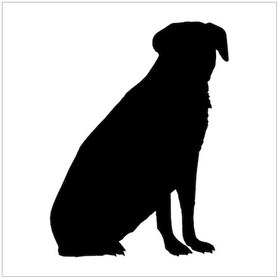 Resim Köpek Folyo Sticker Derstv895 60cm Uzunluk Siyah 