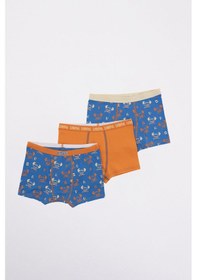 Resim U.s. Polo Assn. Erkek Çocuk Turuncu Boxer Turuncu 