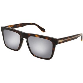Resim Brioni Br0030s 002 Erkek Güneş Gözlüğü 