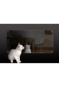 Resim Heatart Reflection 2000 W Aynalı Konvektör Isıtıcı 