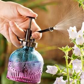 Resim Vintage Cam Sulama Çantası Pompa ile - İç Mekan Bahçesi için Şeffaf Renkli Sıvı Şişe, Çiçek Desenleri ile Dekoratif Tasarım, Bitkiler için Dayanıklı El Tipi Sıvazcı, Bahçe Sulama Araçları 