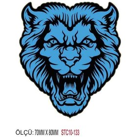 Resim Motorsiklet Otomobil Sticker 2 Adet 129 