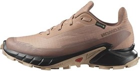 Resim Salomon ALPHACROSS 5 GTX W Yürüyüş AyakkabısıKadın 