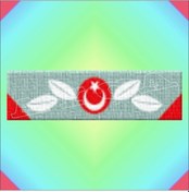 Resim Gazi Malül Şerit Rozeti Çok Renkli 
