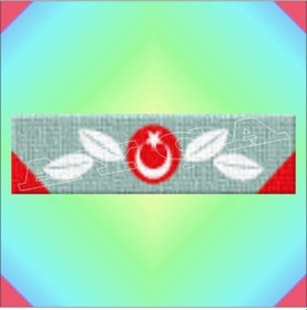 Resim Gazi Malül Şerit Rozeti Çok Renkli 