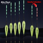 Resim CR425 Pil ile Sazan için 2'li Paket Gece Balıkçılık Parlayan Akıllı Elektronik Yüzen Renk Değiştiren Kanca, 5g-20g Yüksek Yüzey Çekimi Seti 