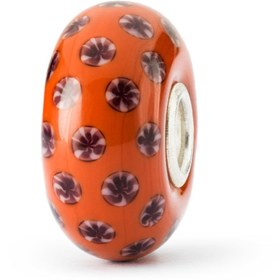 Resim Pozitif Petunya Çiçeği 