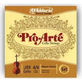 Resim Daddarıo J59 4/4M Cello Tel Seti. Pro-Arte. Scale 4/4. Medıum Te 