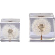 Resim Dandelion Resin Crystal Cubes - Oturma Odası, Yatak Odası veya Ofis için Şirin İç Mekan Dekoru | Mükemmel Doğum Günü ve Parti Hediyesi | Yeni Kare Tasarım, Doğum Günü Partisi Dekoru | Şirin Dekor | Şeffaf Reçine Malzeme, Dandelion Dekoru 