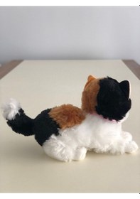 Resim Sesli Miyavlayan Peluş Kedi Oyuncak Hediyelik Uyku Arkadaşı 30 Cm Çok Renkli 
