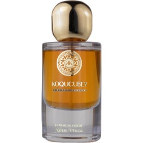 Resim KOQUCUBEY Delina Exclusif Edp Extrait 50 ml Kalıcılığı Ve Yayılım Güçlü 