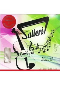Resim Salieri Kt-01 Keman Teli - Set 